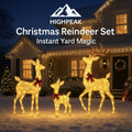 Lighted Christmas Reindeer Set