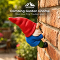 Climbing Garden Gnome