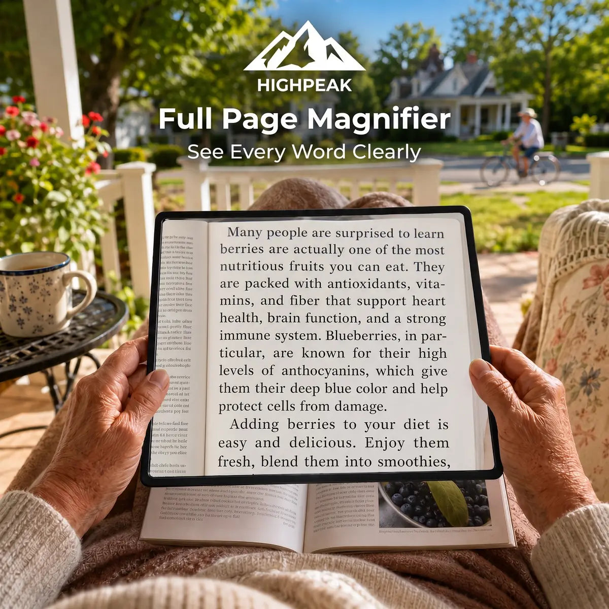 Full Page Magnifier