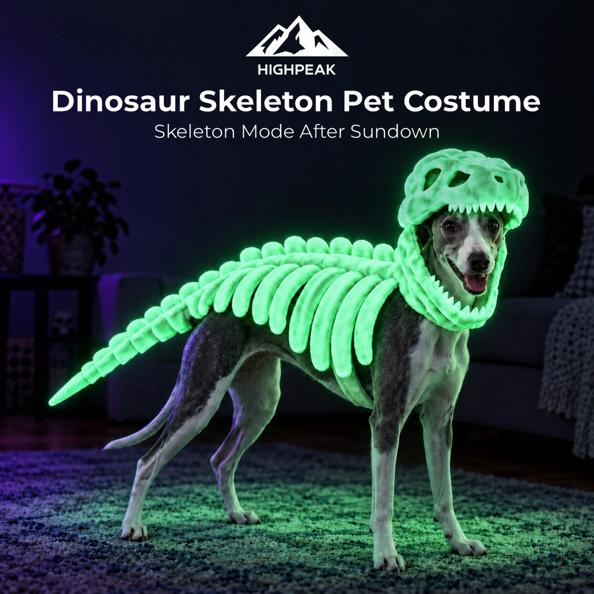 Dinosaur Skeleton Pet Costume