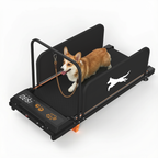 Black Indoor Dog Treadmill with a corgi, side panels and front digital display
