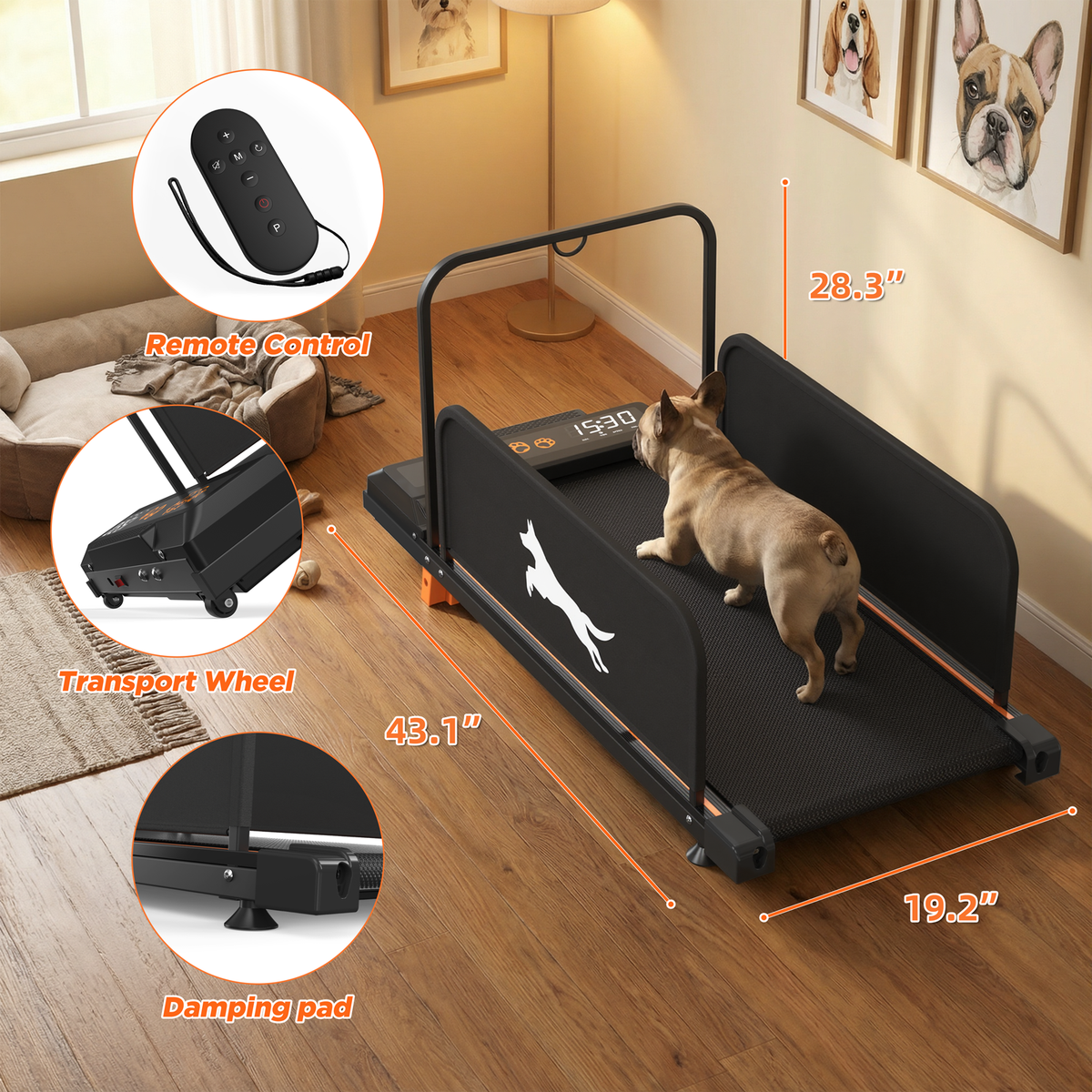 Indoor Dog Treadmill dimension diagram with a dog and remote control inset