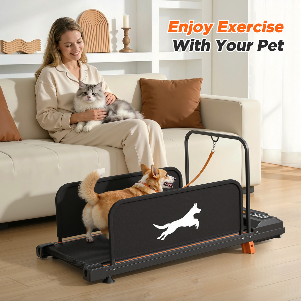Corgi on the black Indoor Dog Treadmill beside an owner seated with a cat