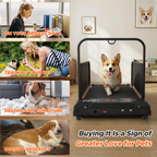 Front view of a corgi on the Indoor Dog Treadmill with pet routine illustration panels
