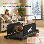 Dog walking on the Indoor Dog Treadmill beside an owner with snow outside