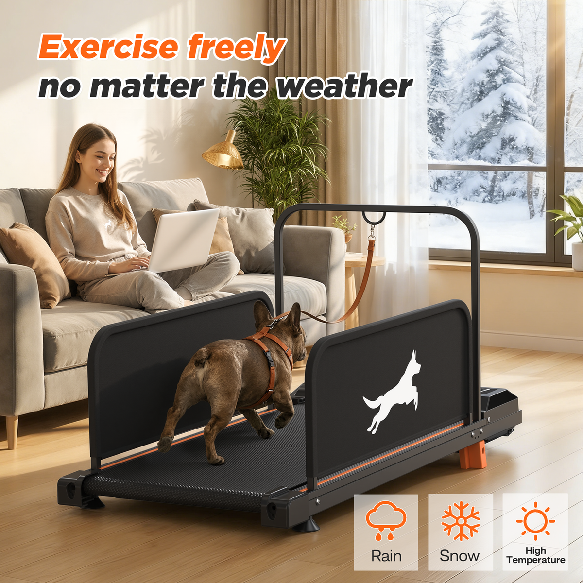 Dog walking on the Indoor Dog Treadmill beside an owner with snow outside