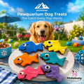 Pawaquarium Dog Treats