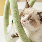 Cream cat pressing its cheek against a green plush spiral coil beside a feather and bell