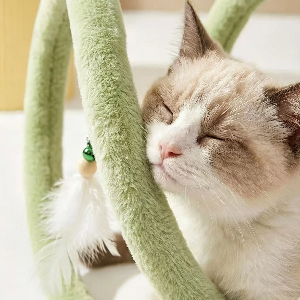 Cream cat pressing its cheek against a green plush spiral coil beside a feather and bell