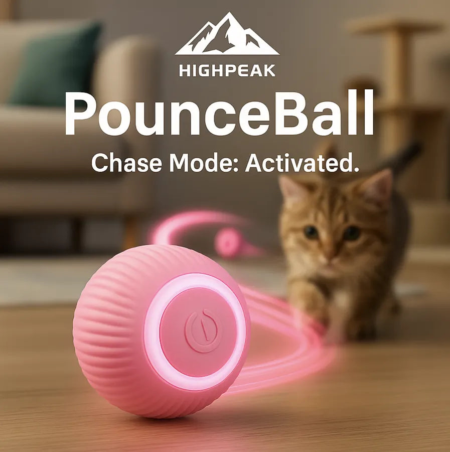 HighPeak PounceBall™ in pink with glowing ring, rolling on floor as kitten eagerly prepares to pounce and play indoors