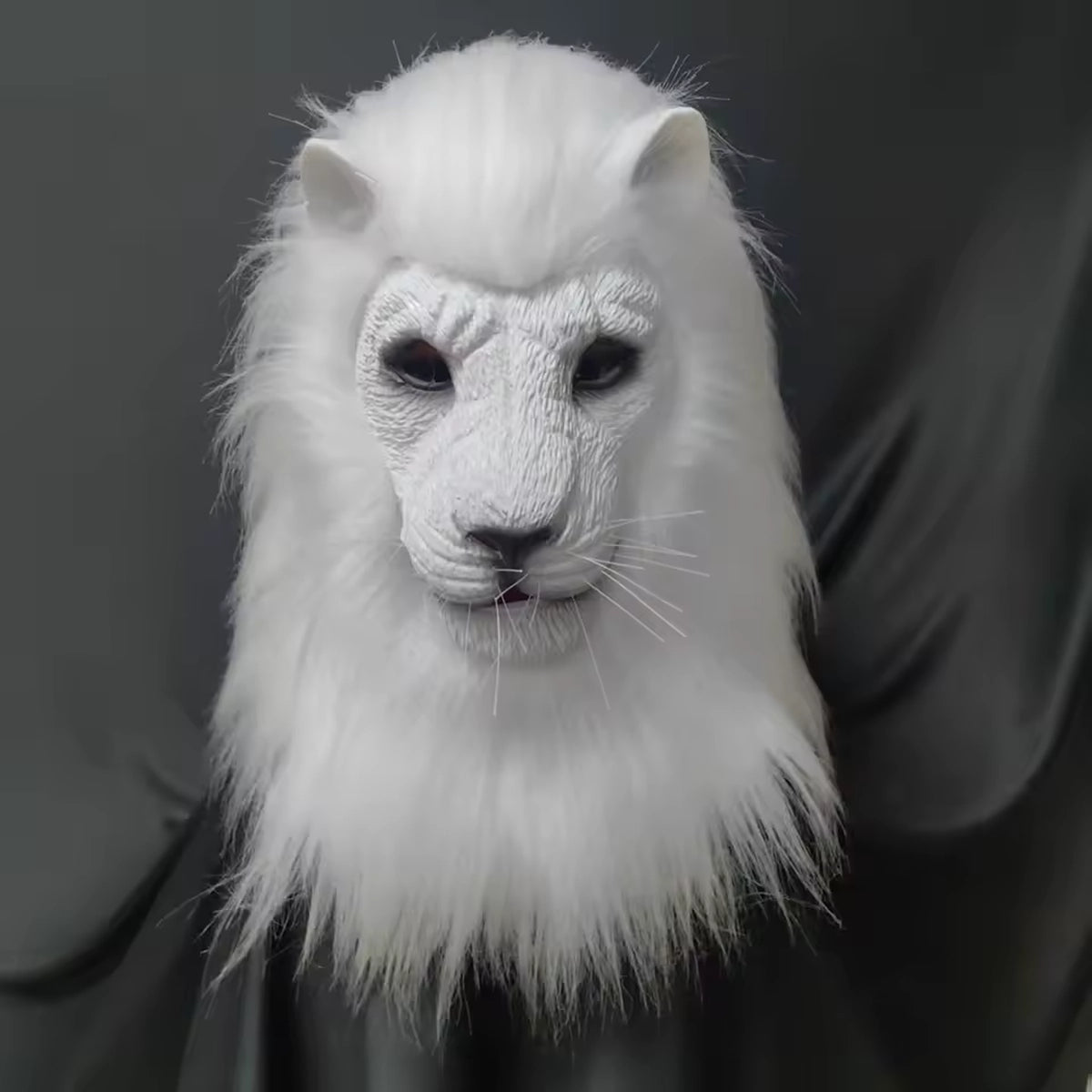 Realistic Deluxe Lion Mask in White with sculpted facial details and a long mane against dark fabric