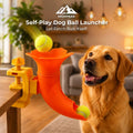 Self-Play Dog Ball Launcher