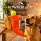 Self-Play Dog Ball Launcher