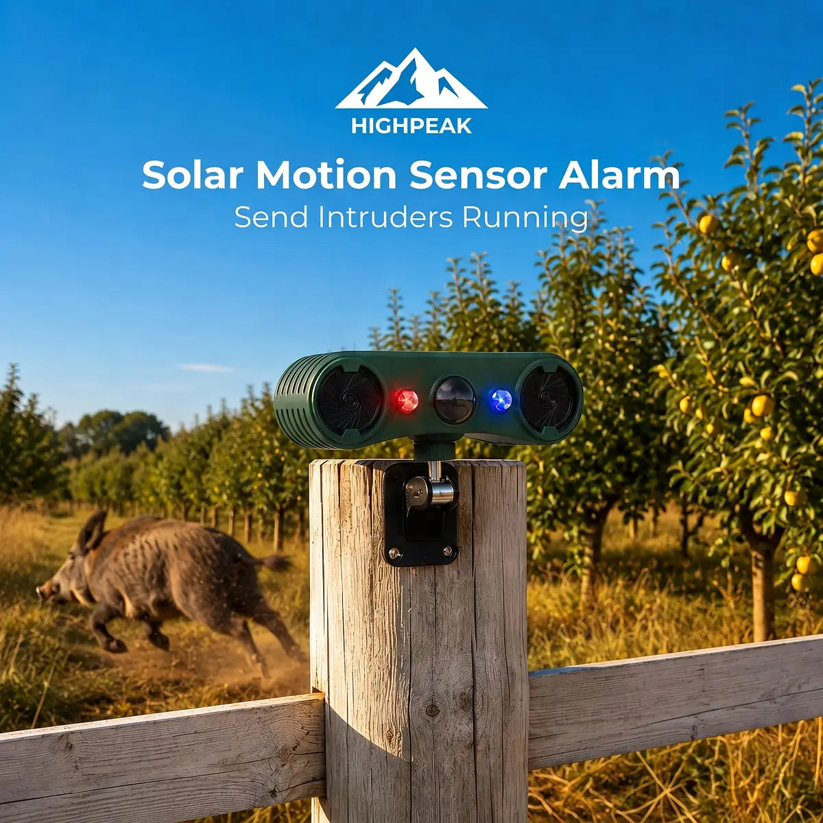 Solar Motion Sensor Alarm