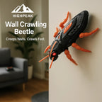 Wall Crawler Gecko