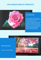 Holographic Window Projection Film supplier feature panel with a pink rose and autumn landscape projection.