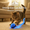 Interactive Cat Ball Toy