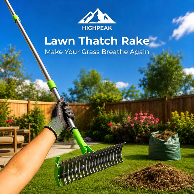 Lawn Thatch Rake