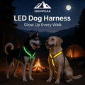 LED Dog Harness