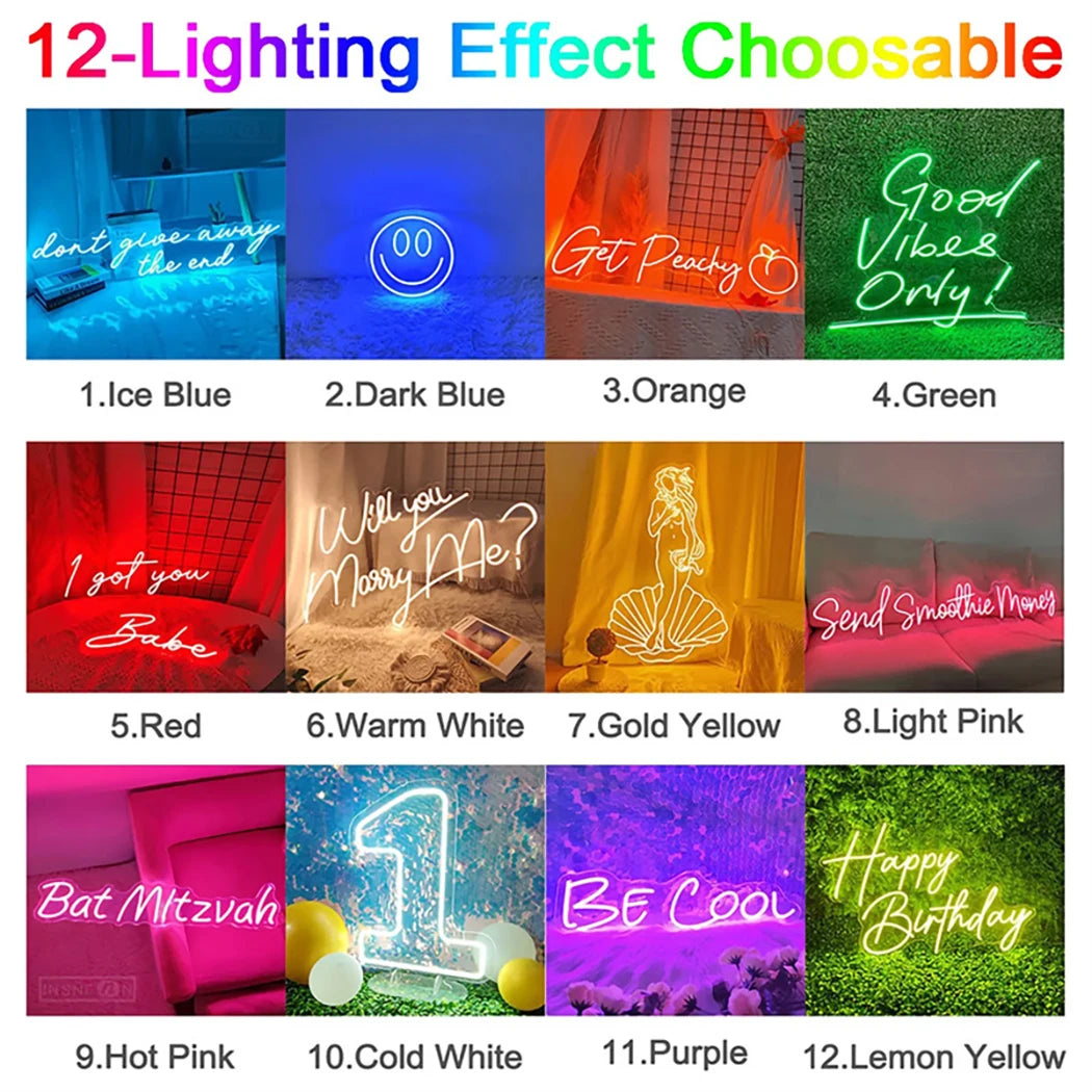 Supplier reference chart displaying twelve neon-sign color samples in a compact three-row grid.