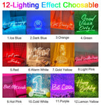 Supplier chart showing twelve labeled neon-sign color examples in a tall grid, including light pink and lemon yellow.