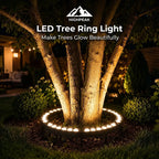 LED Tree Ring Light