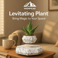 Levitating Plant