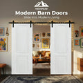 Modern Barn Doors