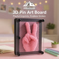3D Pin Art Board