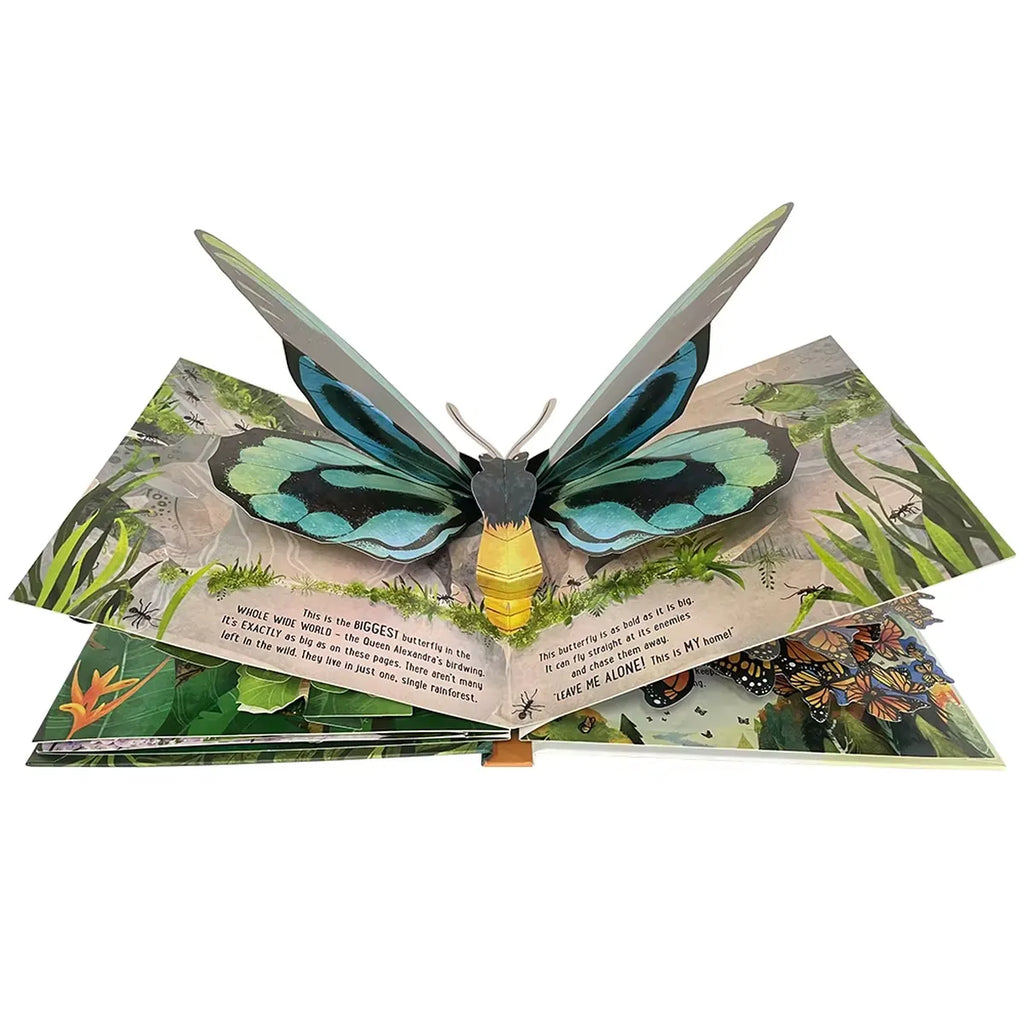 3D Pop-Up Butterfly Book