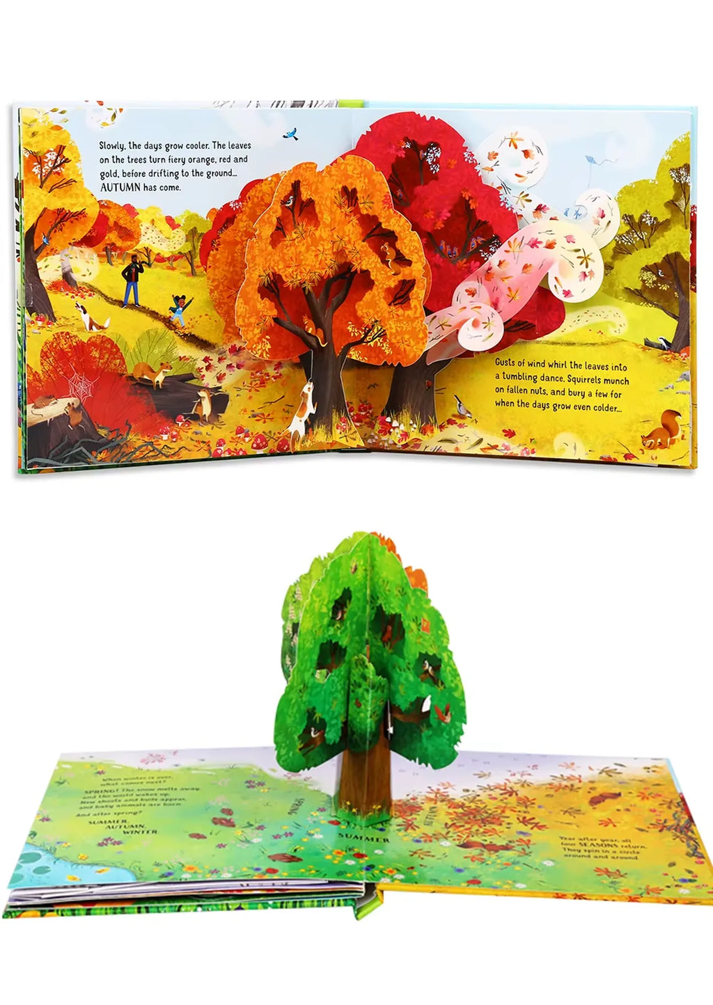 3D Pop-Up Seasons Book