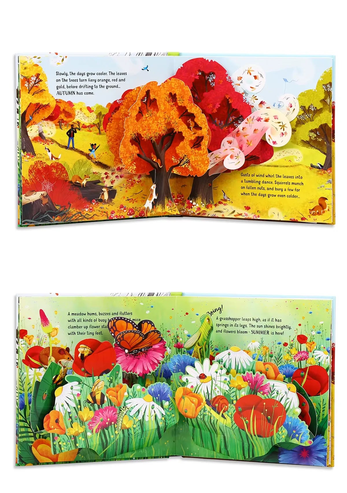 3D Pop-Up Seasons Book