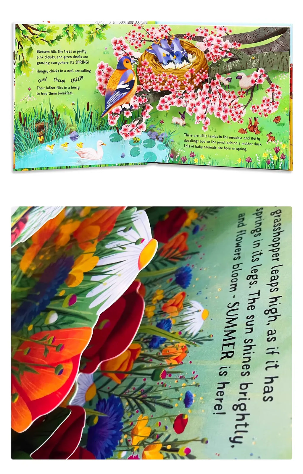 3D Pop-Up Seasons Book