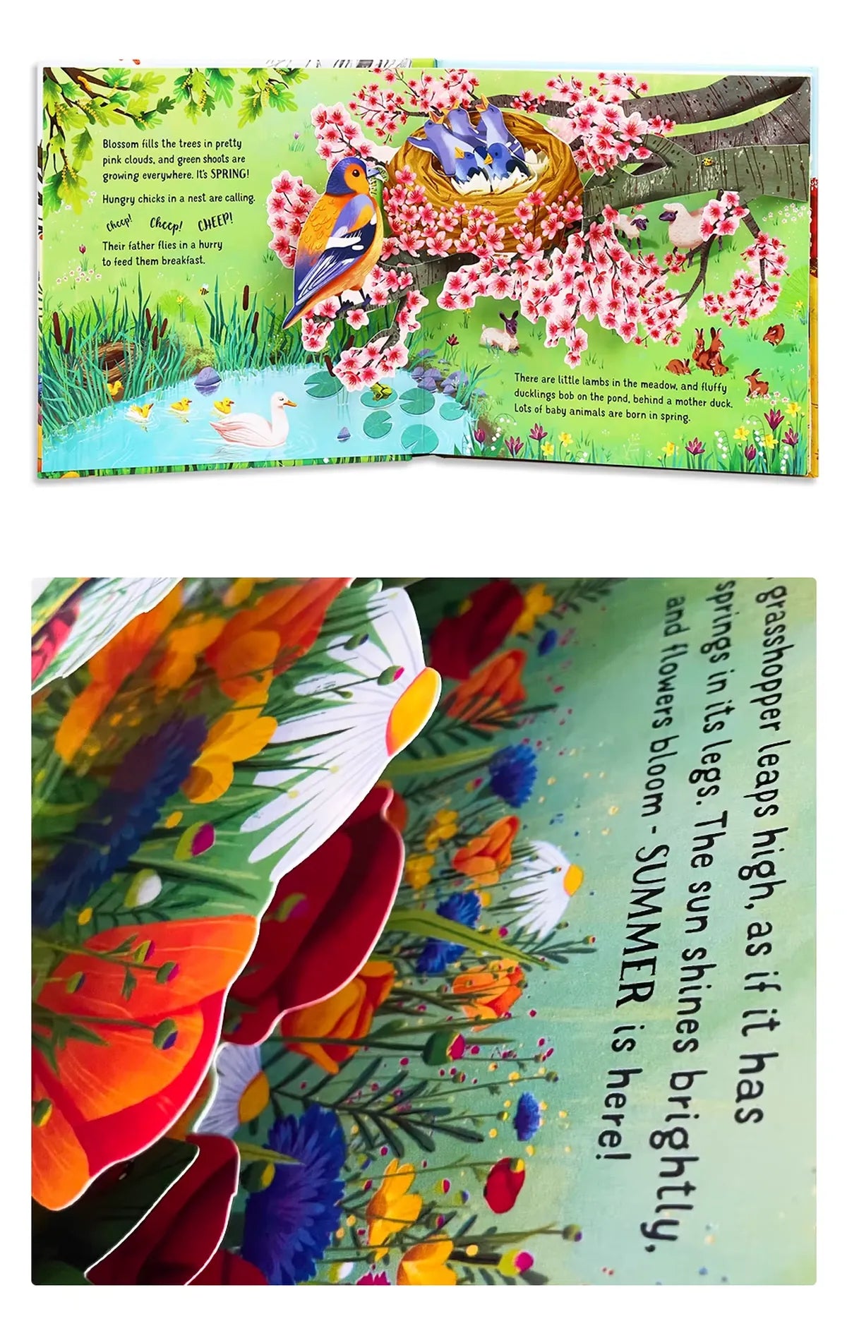 3D Pop-Up Seasons Book