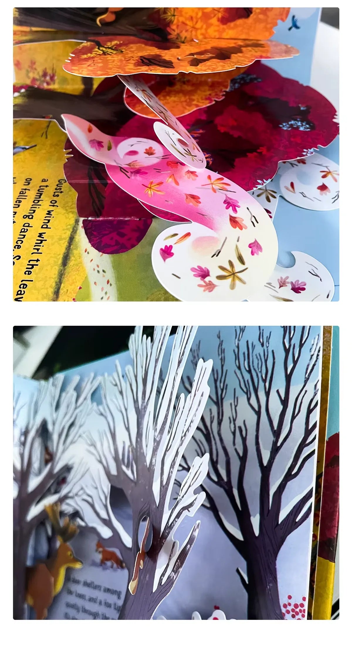 3D Pop-Up Seasons Book