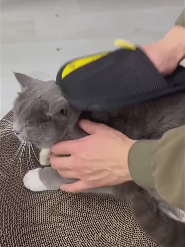 Pet Hair Remover Glove