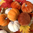 Autumn Pumpkins Set