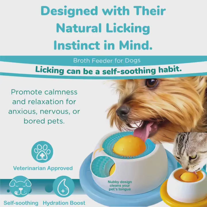 Slow Pet Lick Bowl