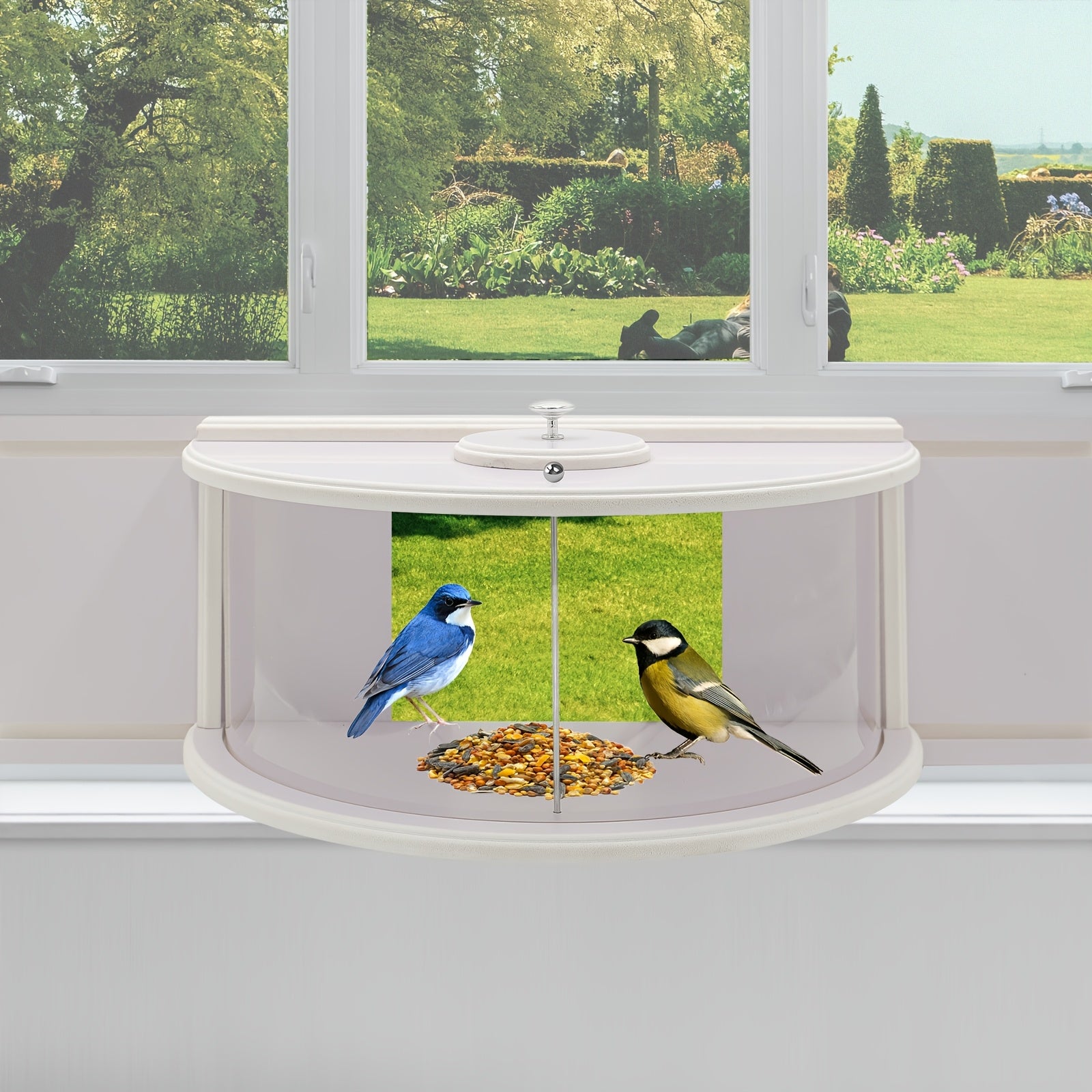 Window Bird Feeder