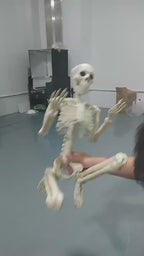Climbing Skeleton Halloween Decor
