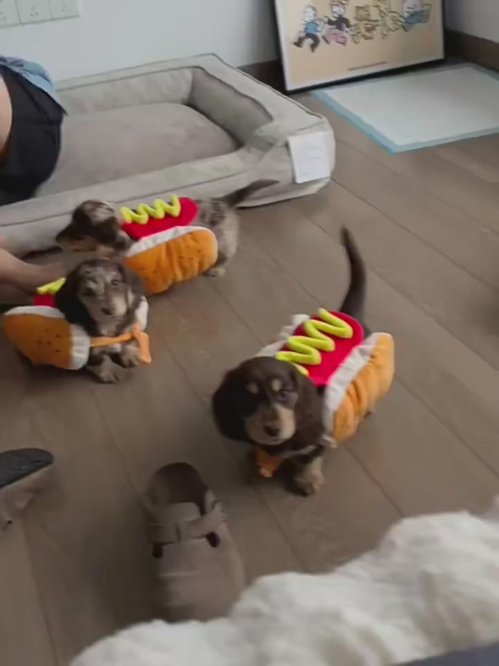 Hot Dog Pet Costume