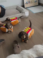 Hot Dog Pet Costume