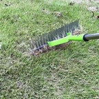 Lawn Thatch Rake