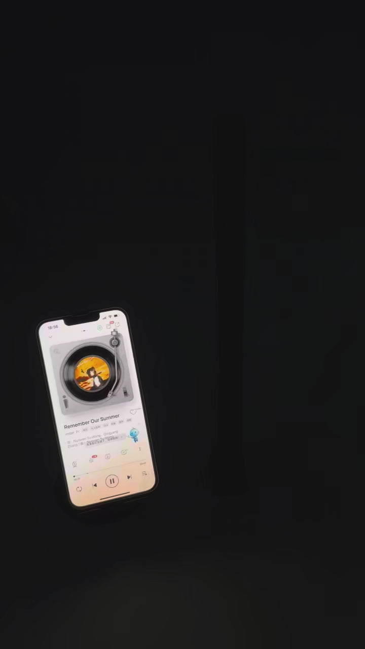 LED Music Rhythm Light