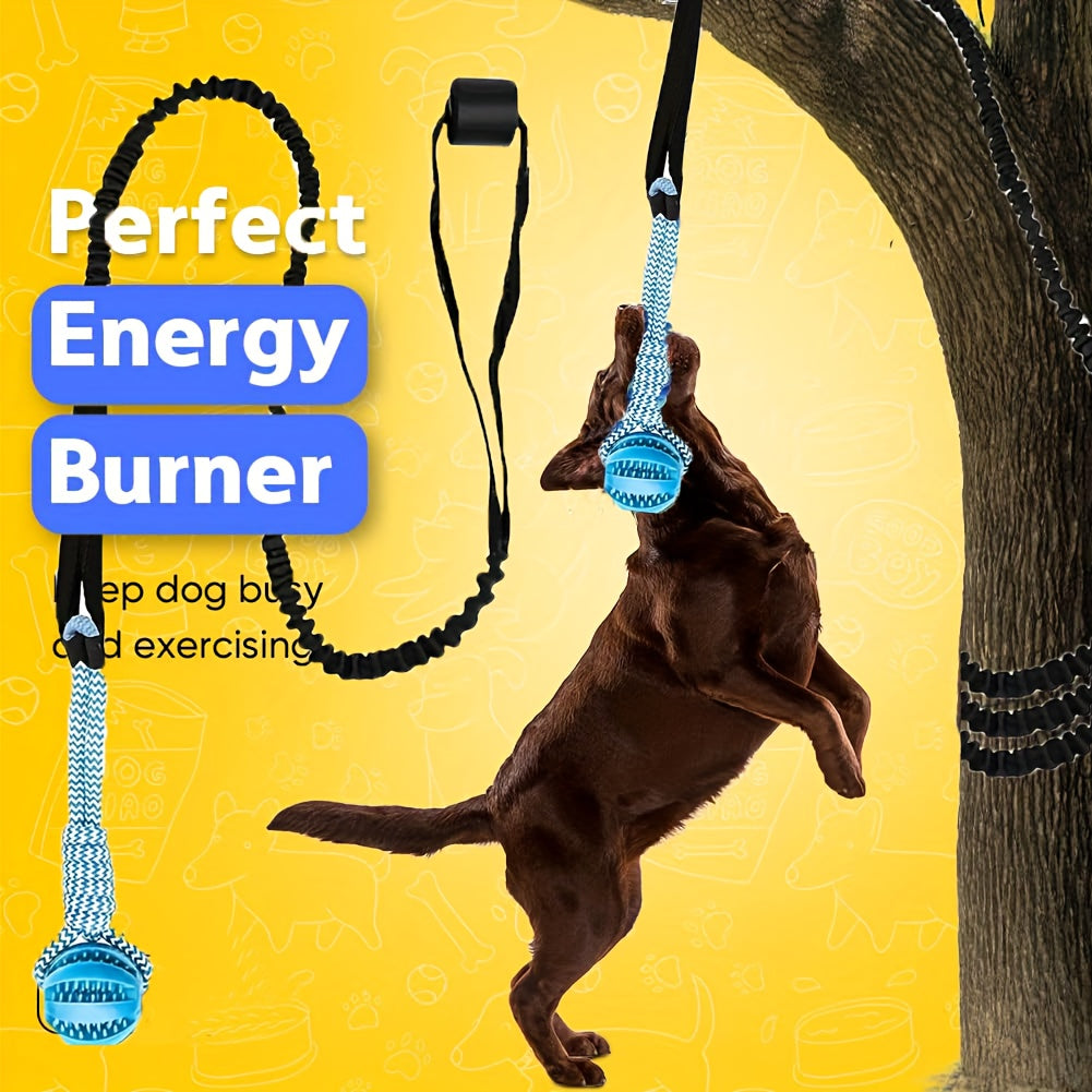 Dog Bungee Tug Toy