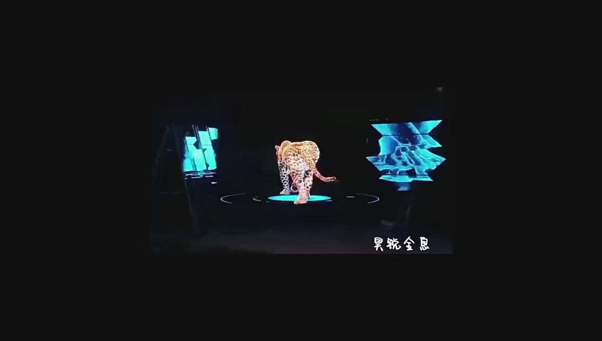 Holographic Window Projection Film