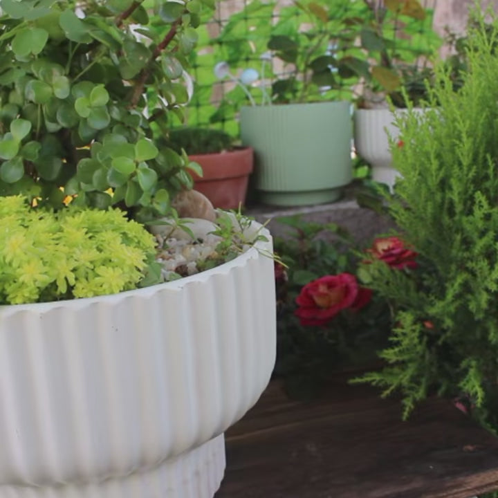 Funny Garden Gnome Decoration