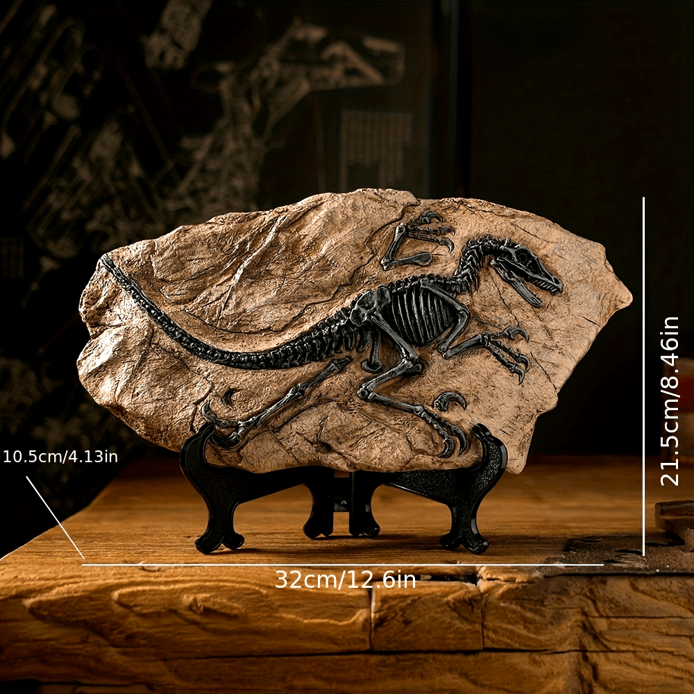 Dinosaur Fossil Sculpture