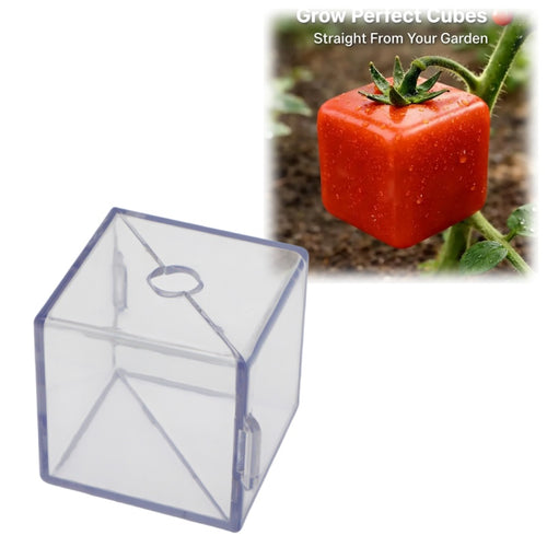 Cube Fruit Shaping Mold