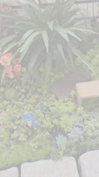 Solar Squirrel Garden Light